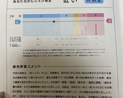 image_67194625